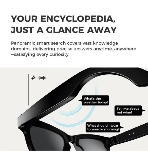AI Smart Camera Glasses with ChatGPT, 8MP Camera Glasses, Bluetooth, Flash 2GB, Support Real-Time Translation with AI Assistant, AI Recognize Objects, Black/Transparent Lenses, Multifunctional Audio Eyewear for Women Men Danny's Store